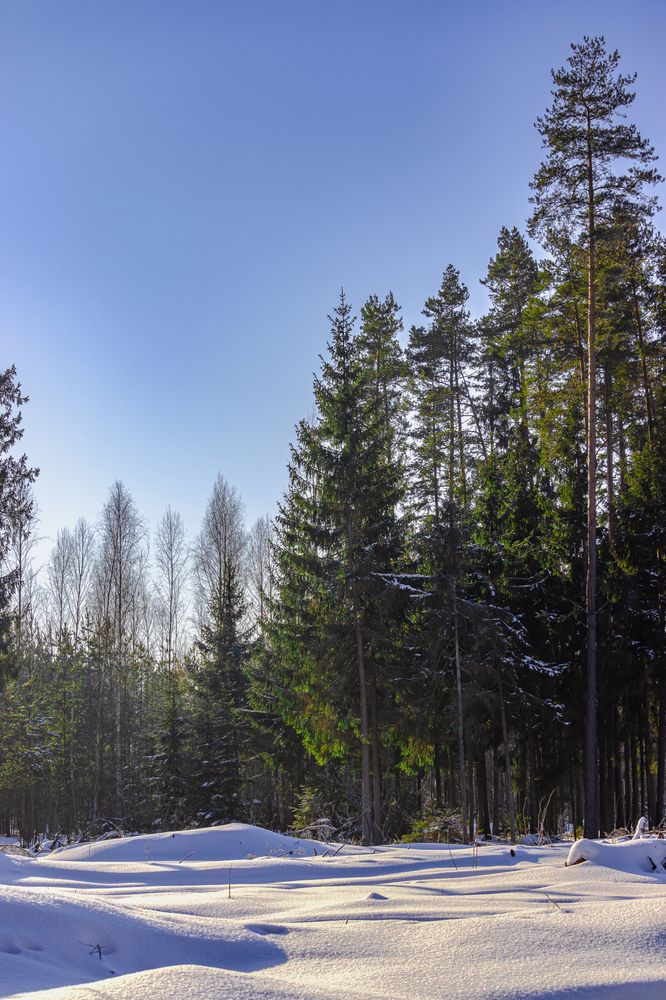 Photograph by Сергей Зайцев