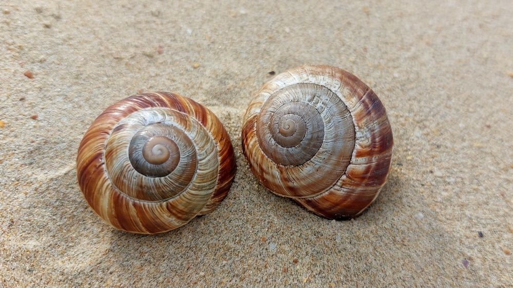 Photograph by Наталья Дубовкина