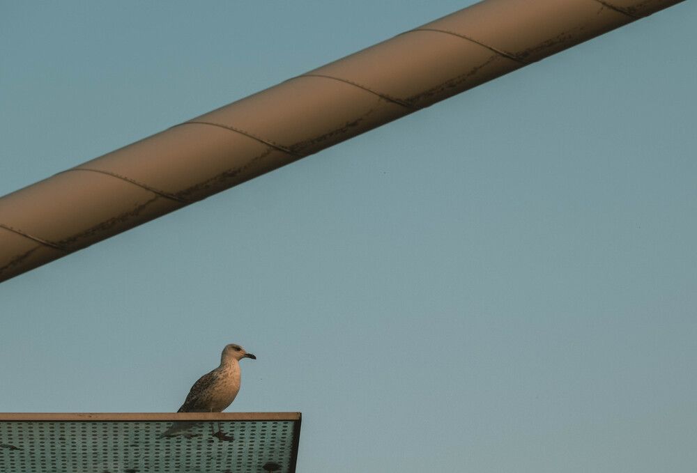 Photograph by Hakan Tunc