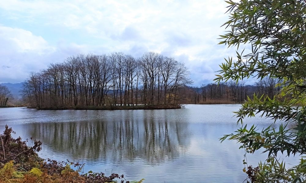 Photograph by MaryamTork