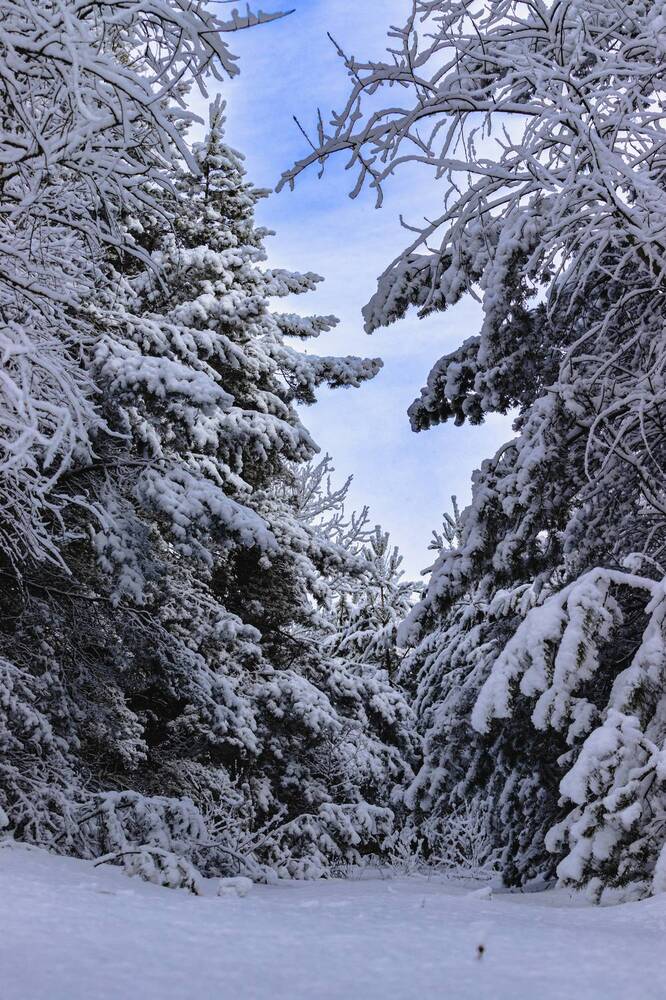 Photograph by Сергей Зайцев