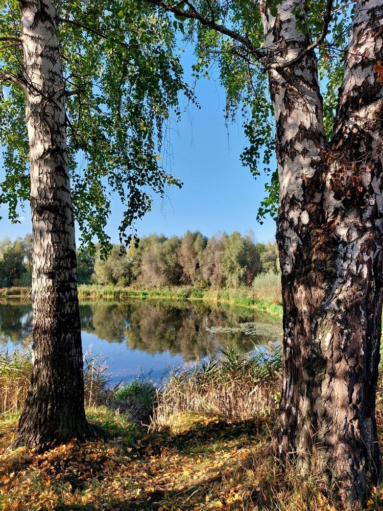 Photograph by Наталья Дубовкина