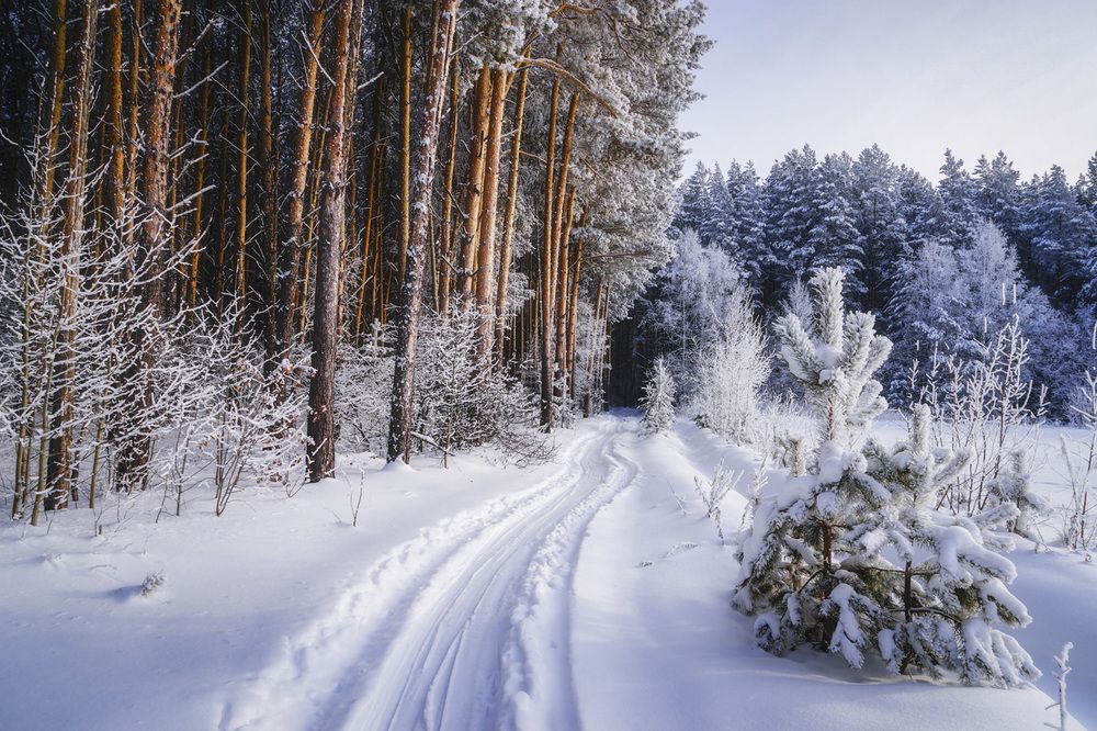 Фотография автора Татьяна Добровольская