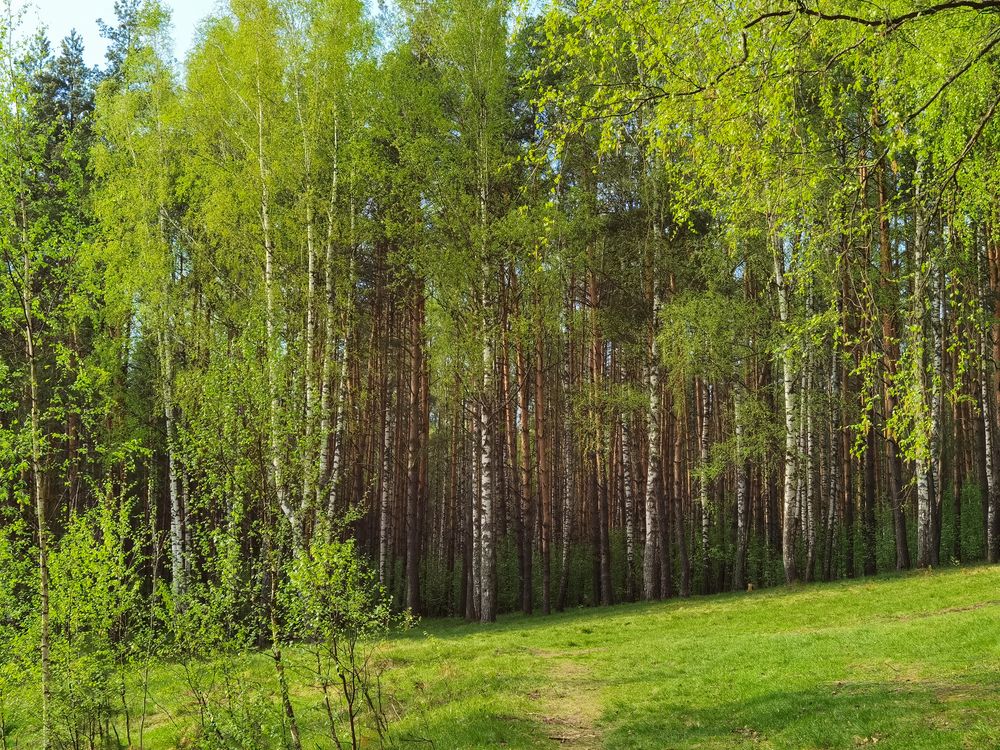 Photograph by Юлия