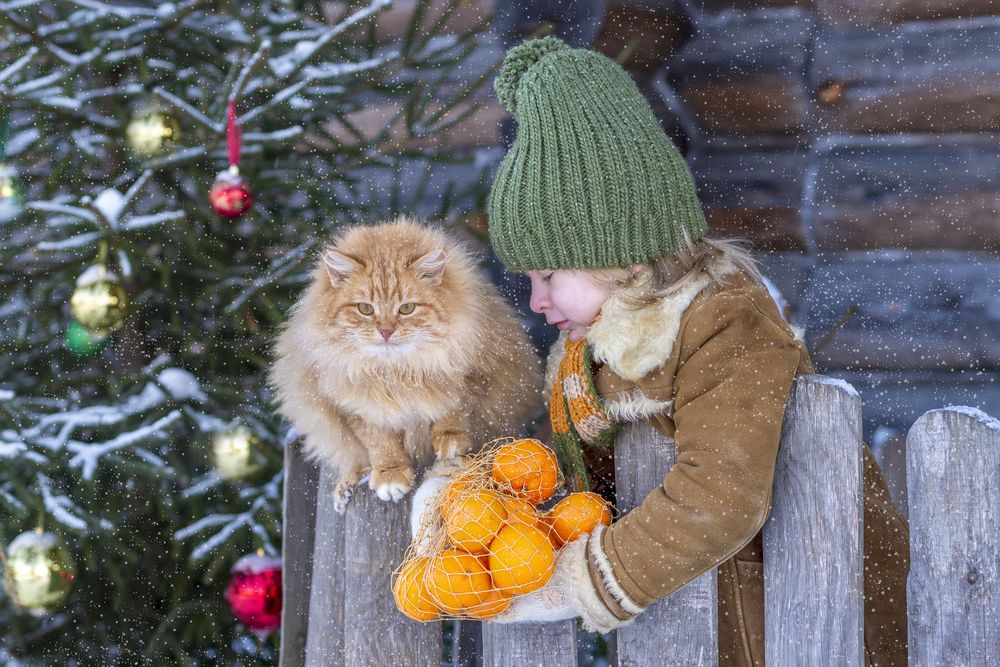 Лютик и мандарины!