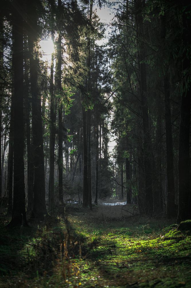 Photograph by Сергей Зайцев