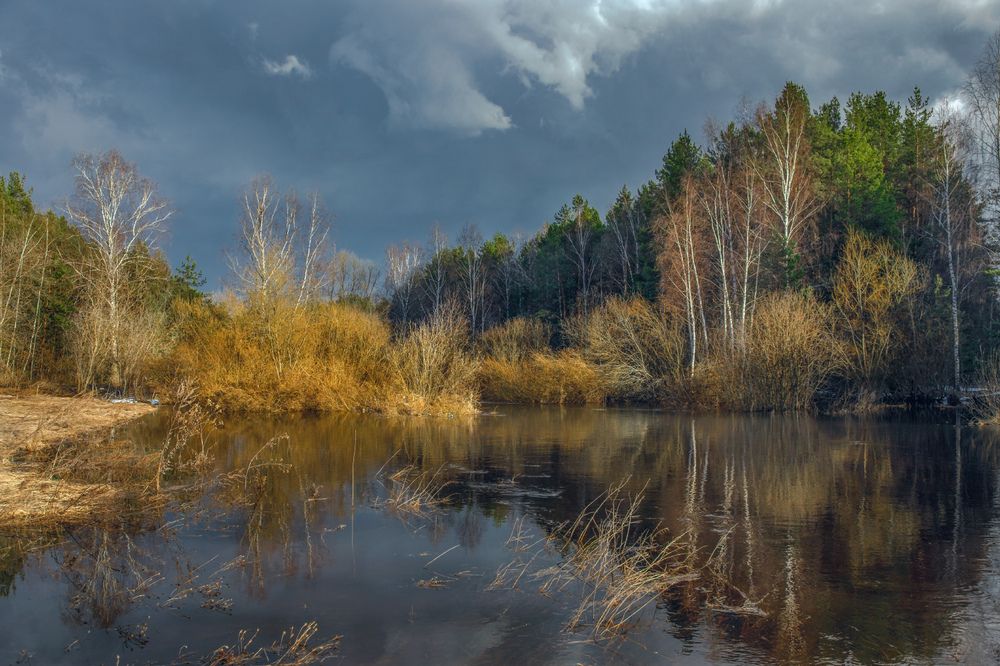 Photograph by Алексеев Дмитрий