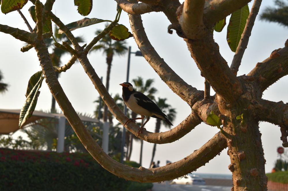 Фотография автора Tkachev Aleksey