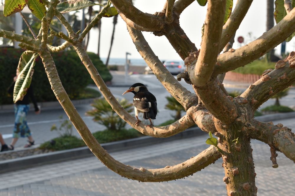 Фотография автора Tkachev Aleksey