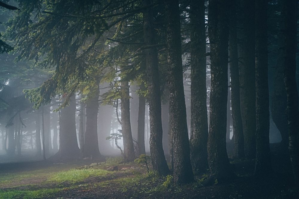 Фотография автора Юлия Есина