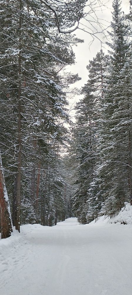 Photograph by Евгения Супрыгина