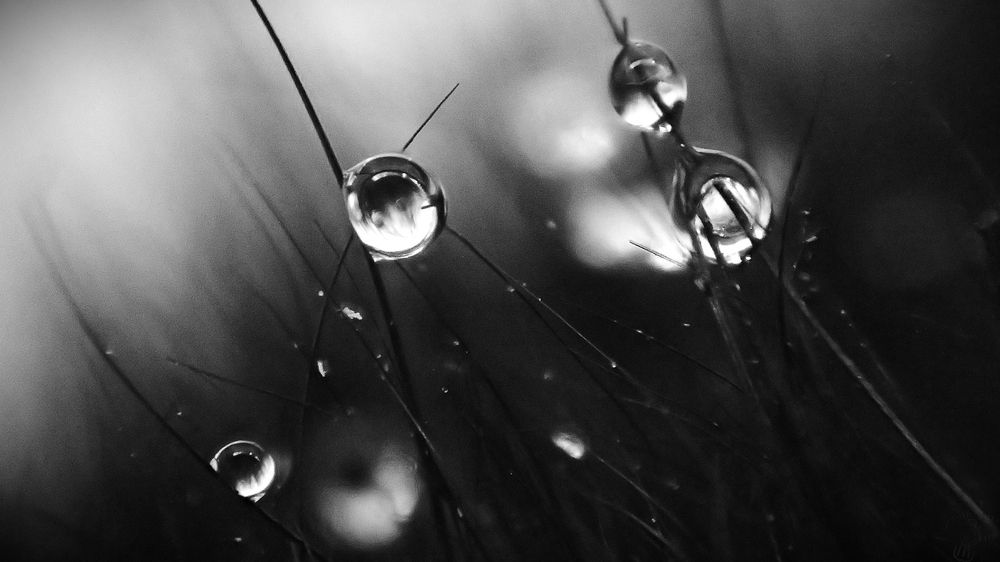 Капли. Проза жизни