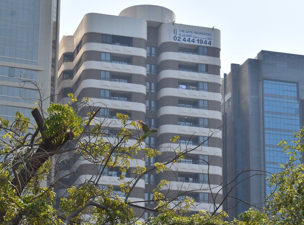 Фотография автора Tkachev Aleksey