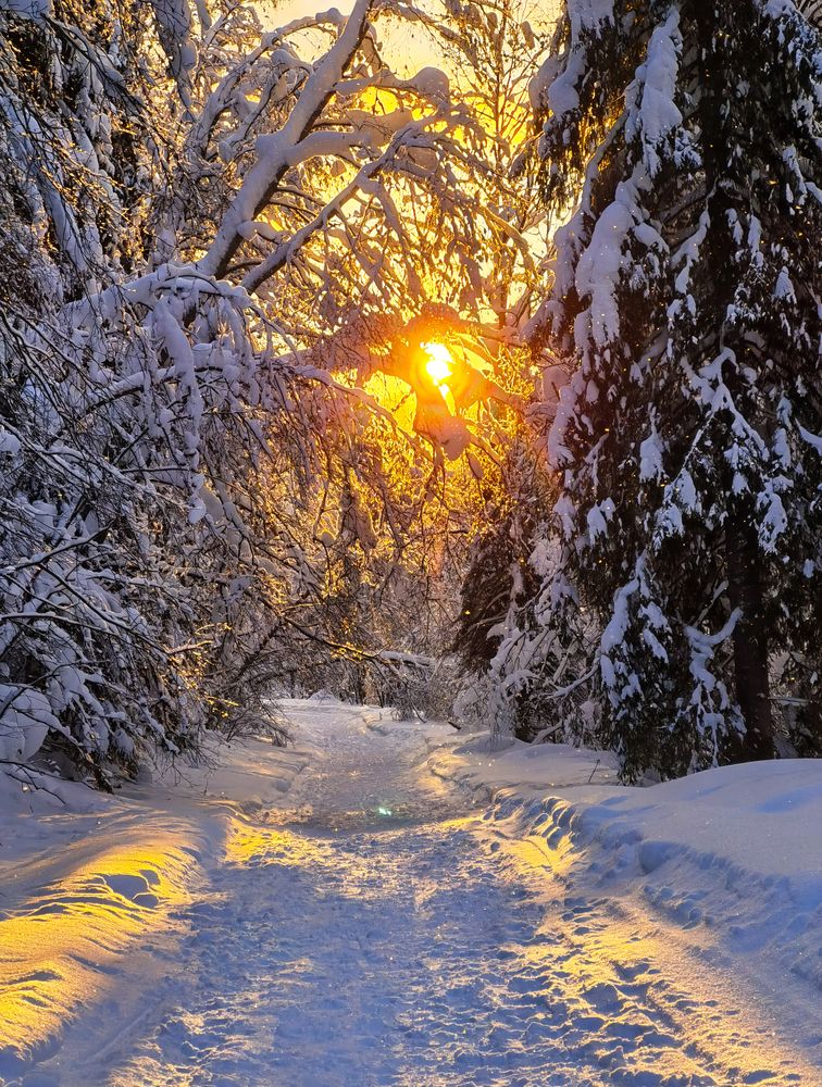 Photograph by Юлия
