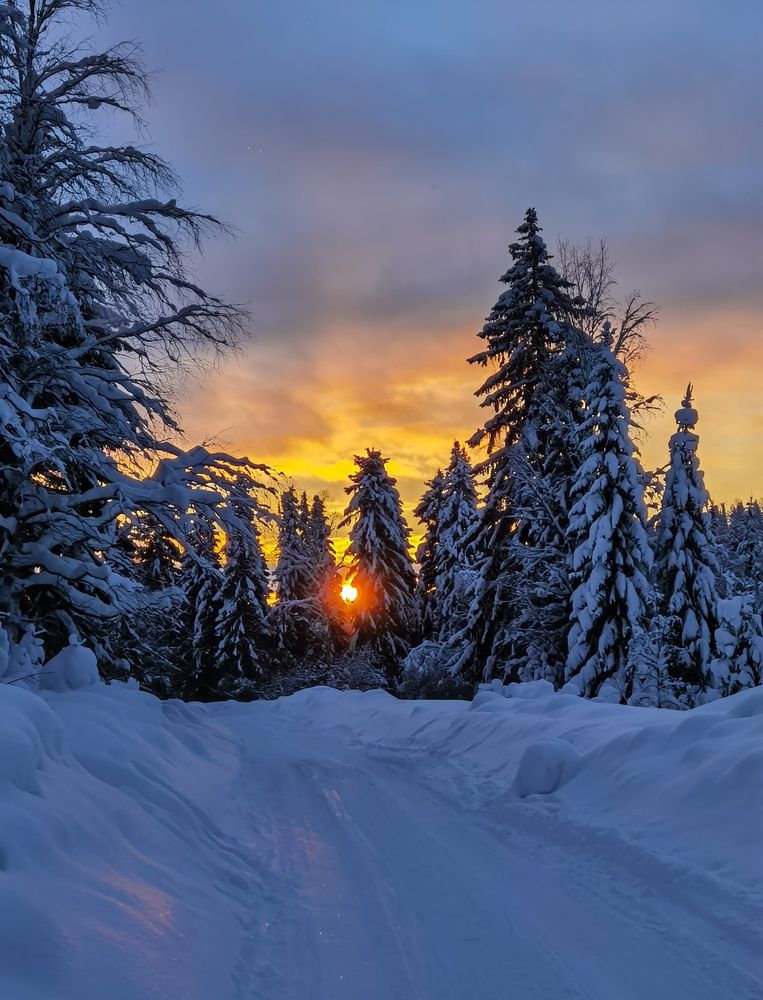 Photograph by Юлия
