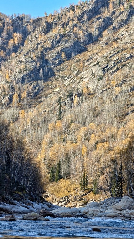 Фотография автора Марина Куркина