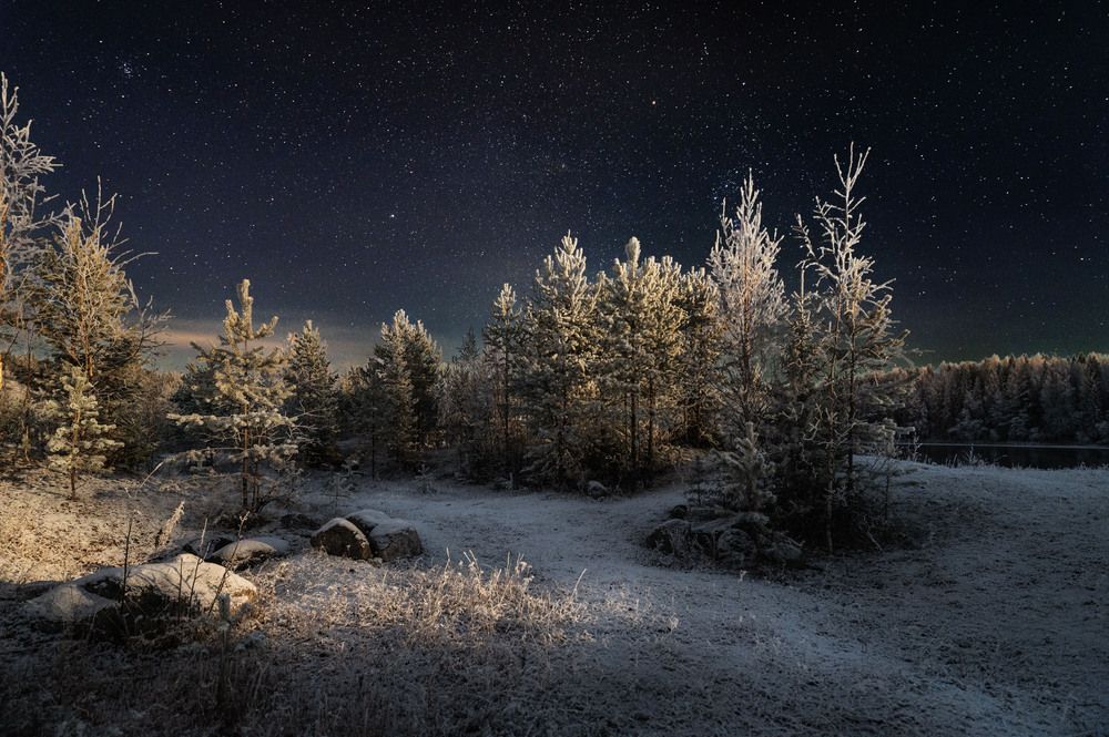 Photograph by Алексей Турчин