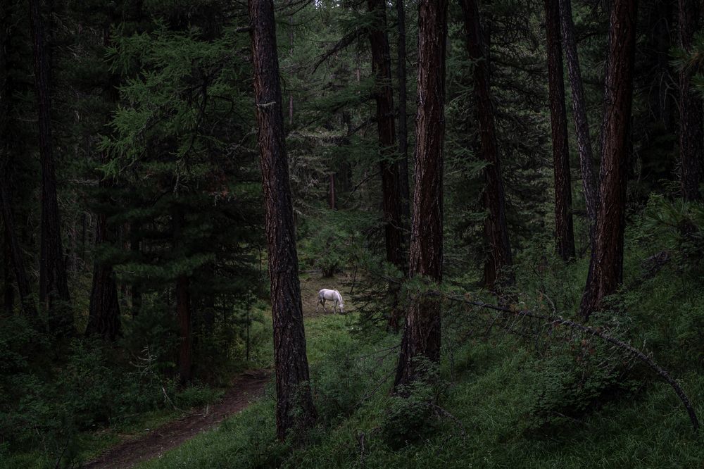 Фотография автора Юлия Есина