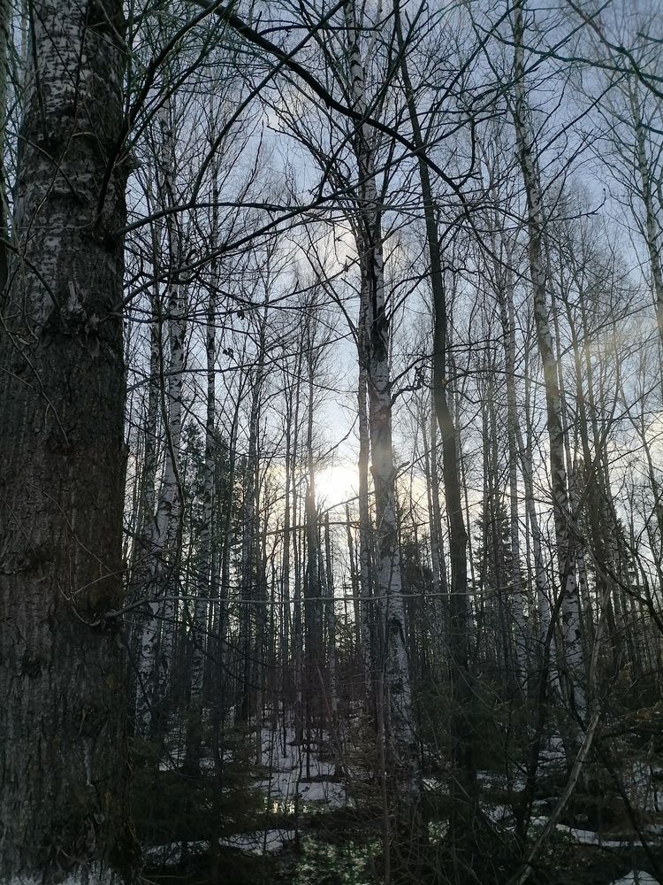 Photo #11802831