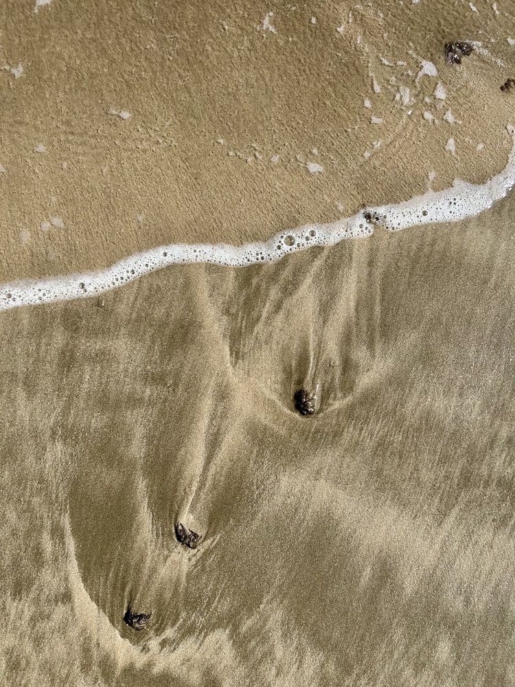 Photograph by Aashu Pandya