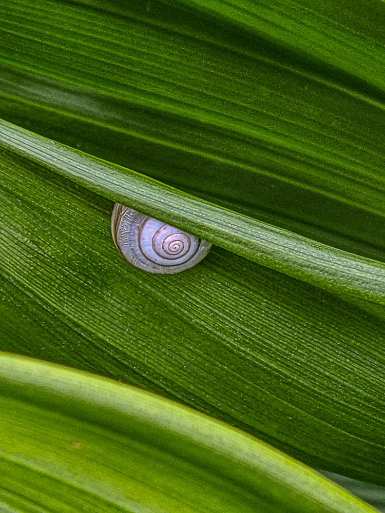 Photograph by Ольга Ченцова