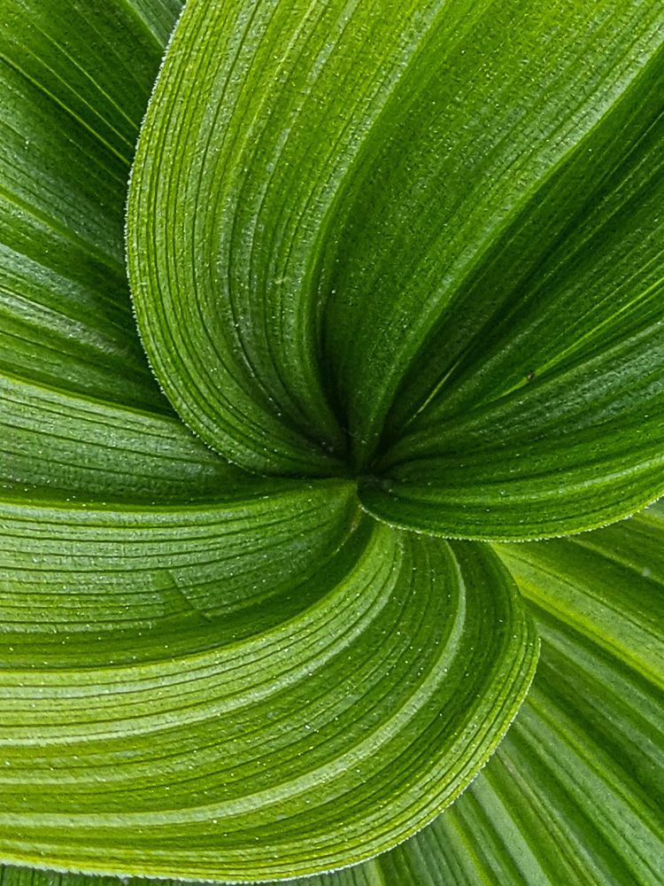 Photograph by Ольга Ченцова