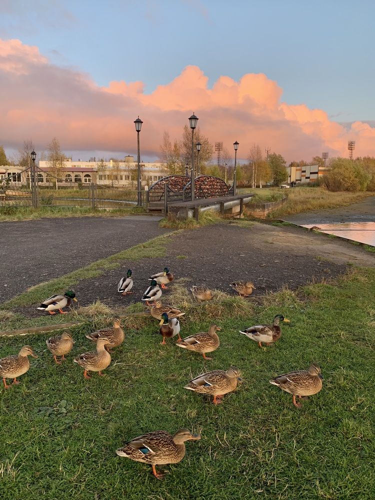 Photograph by Наталья Бирук