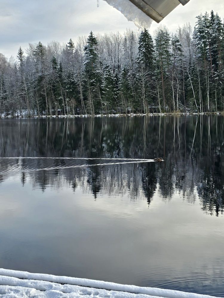 Photograph by Галина Левина