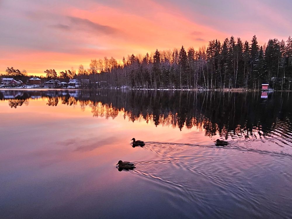 Photograph by Галина Левина