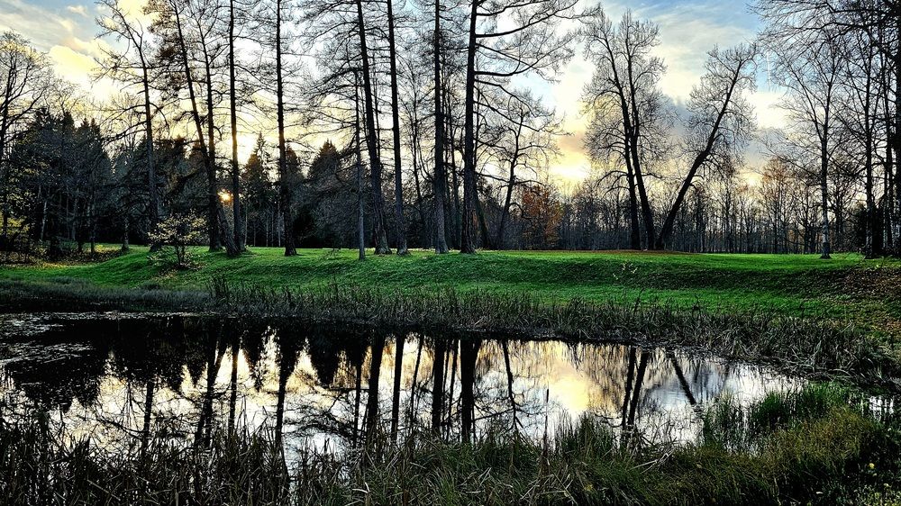 Photograph by Галина Левина