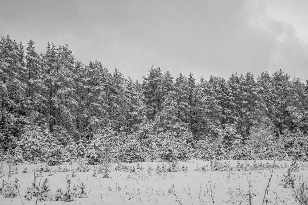 Фотография автора Иван Комаров