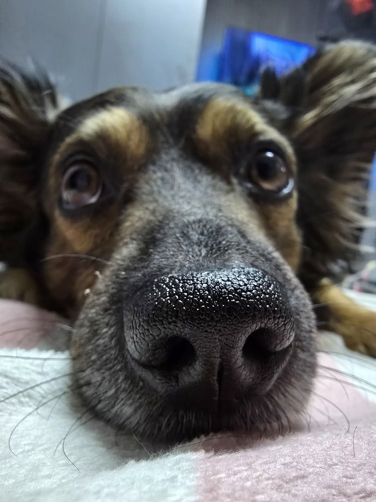 Photograph by Евгения Гриднева