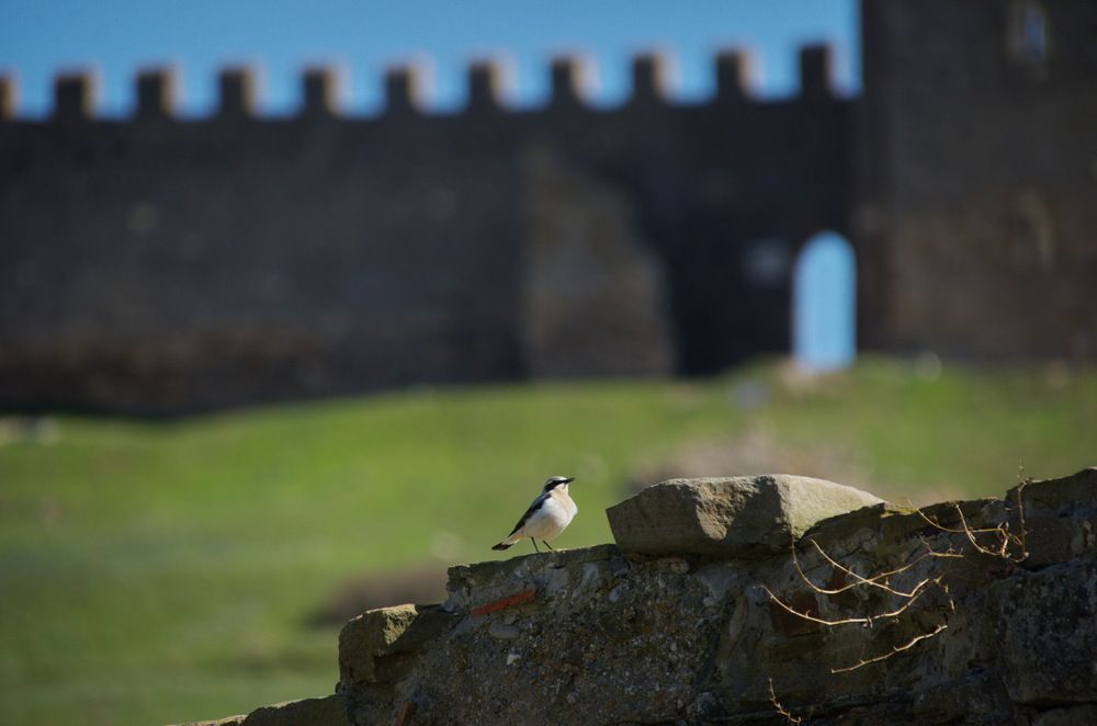 Photograph by Надежда Михайлина