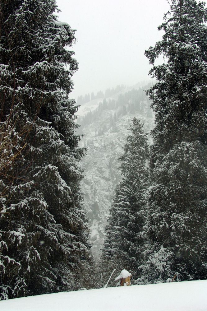 Photograph by Михаил Максимов