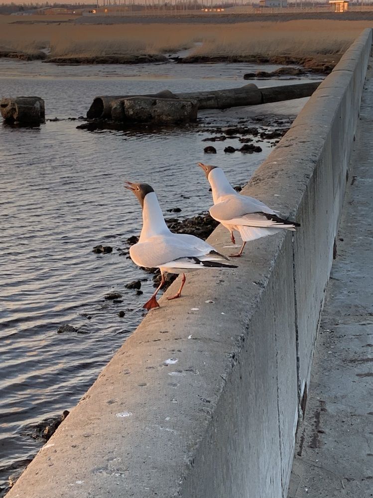 Photograph by Наталья Бирук