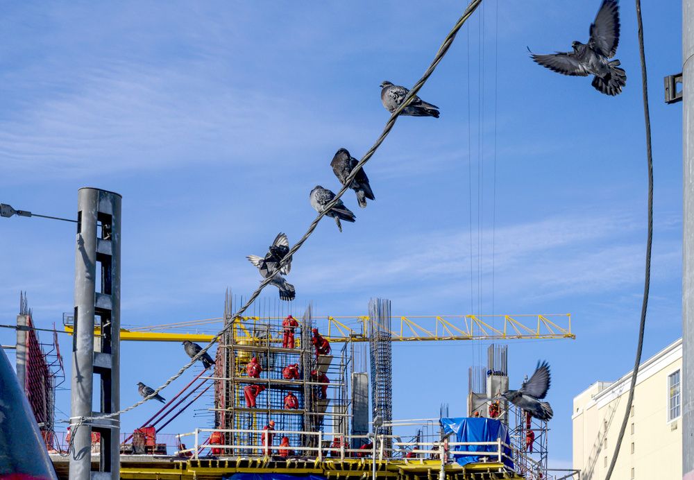 Фотография автора Ольга Лихтарь