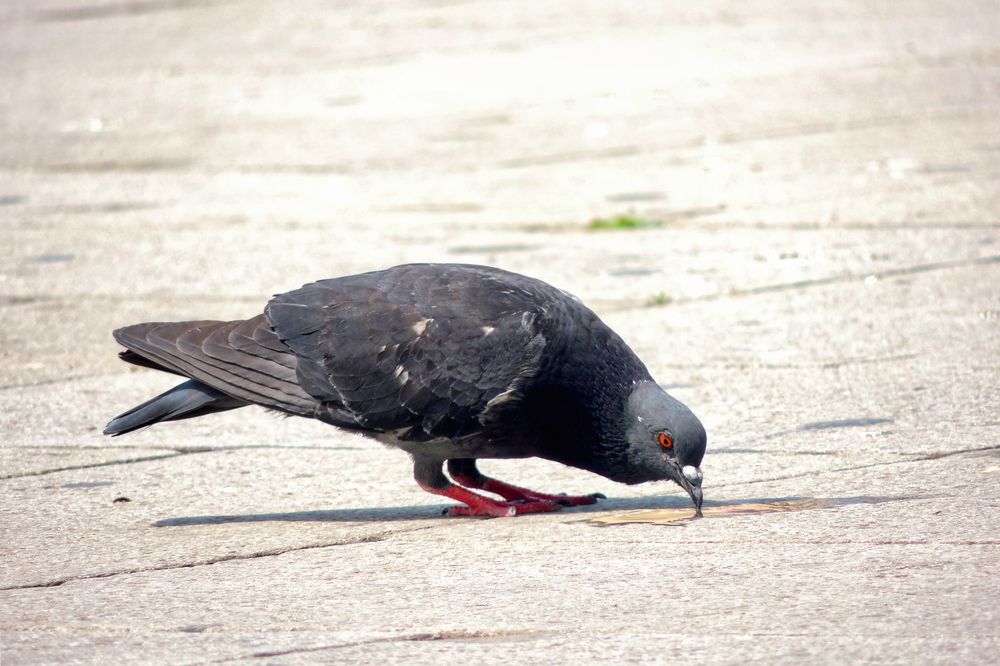 Photograph by Vimal Ram S