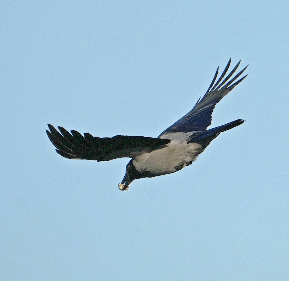 Photograph by Михаил Трусов