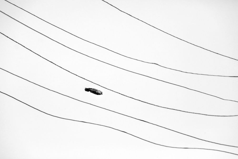 Photograph by Марина Александрова