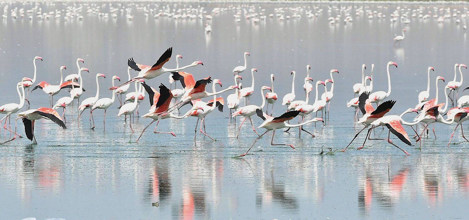 Фотография #11802998