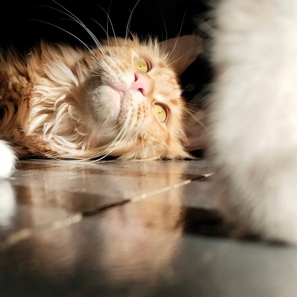 Photograph by Ирина Нурбаева