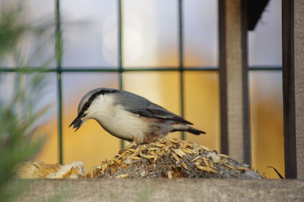 Photograph by Светлана Попкова