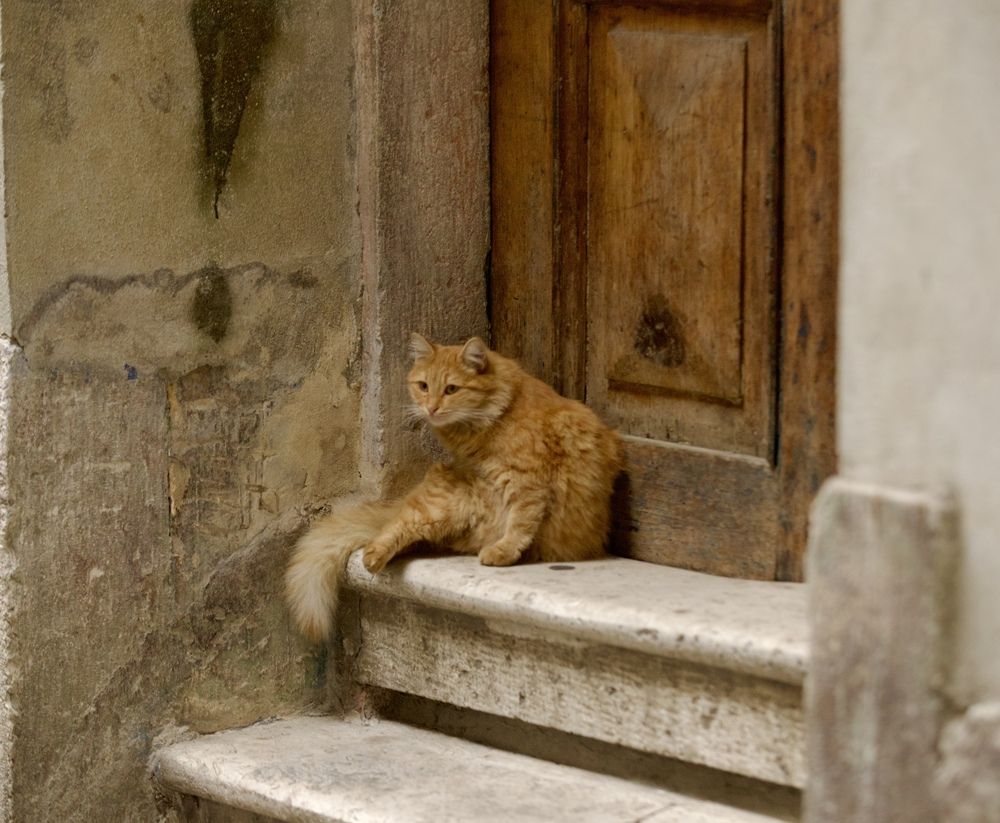 Photograph by Елена Ковалева