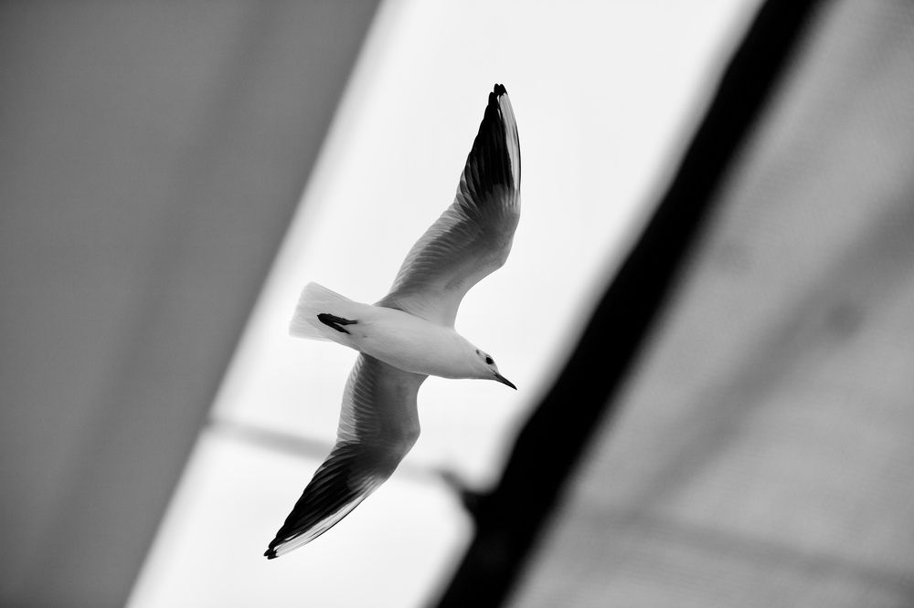 Photograph by Елена Ковалева