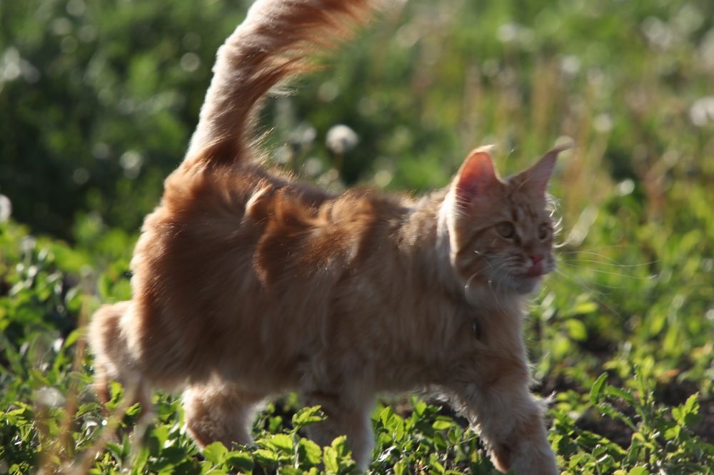 Photograph by Ирина Нурбаева