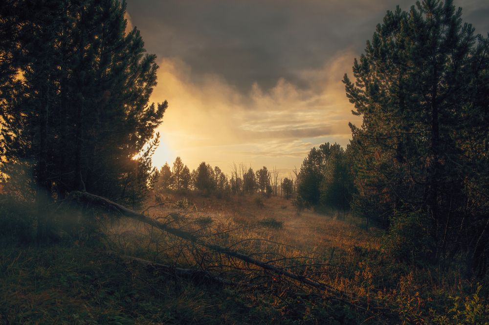 Photograph by Илья Цымбал