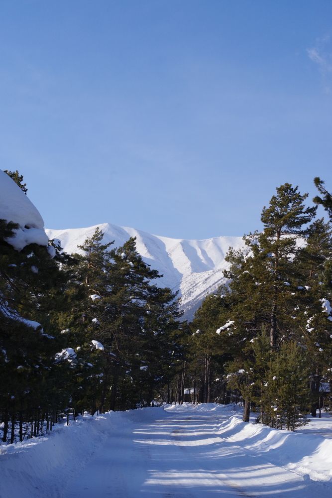 Photograph by Андрей