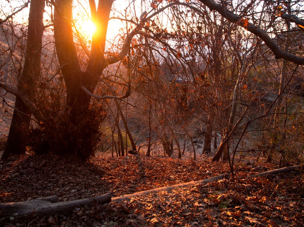 Photograph by Abdolreza Aleagha