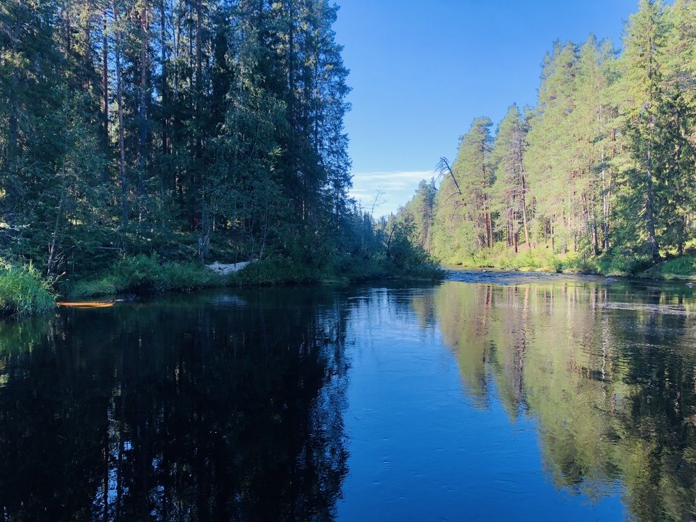 Photograph by ЮЛИЯ СУЛИМОВА