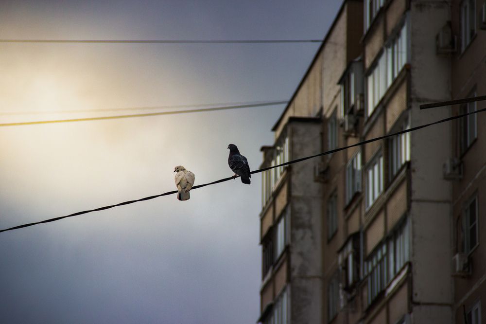 Фотография автора Кирилл Бражников